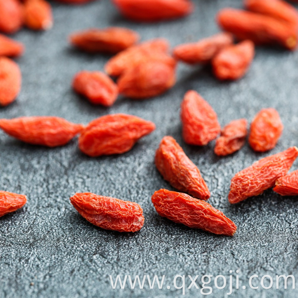 Red Goji Berries Wolfberries Fruit